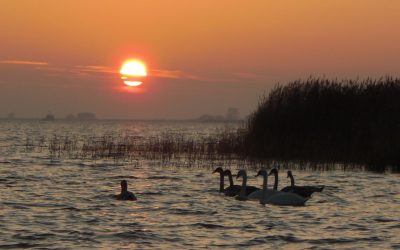 Bodden im Herbst